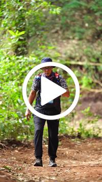 BIB:  <button type="button" onclick="openModal(27822424)" class="btn btn-primary btn-sm float-right" data-toggle="modal" data-target=".modal-high-quality">
                <i class="fa fa-download"></i> Download
                </button>